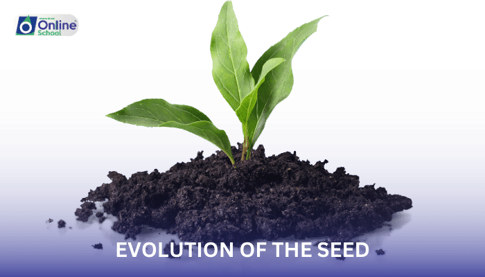 Lesson 13: Evolution of the Seed